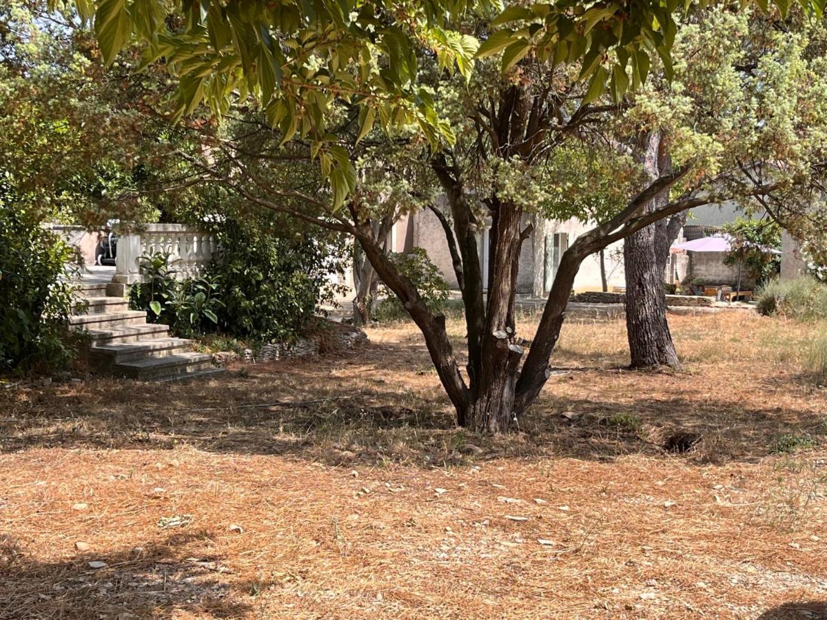 Maisonnette Independante Avec Jardin/Patio Nîmes Exteriér fotografie